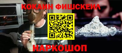 индика Можга