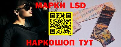 индика Можга