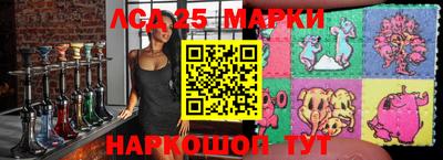индика Можга