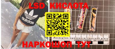 индика Можга