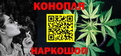 индика Можга