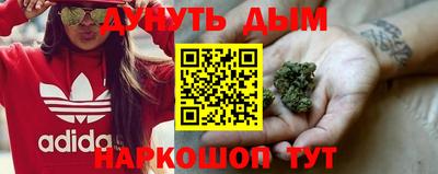 индика Можга