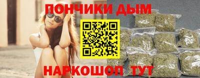 индика Можга