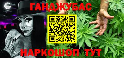 индика Можга