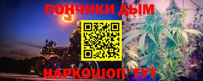 индика Можга