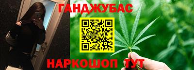 индика Можга