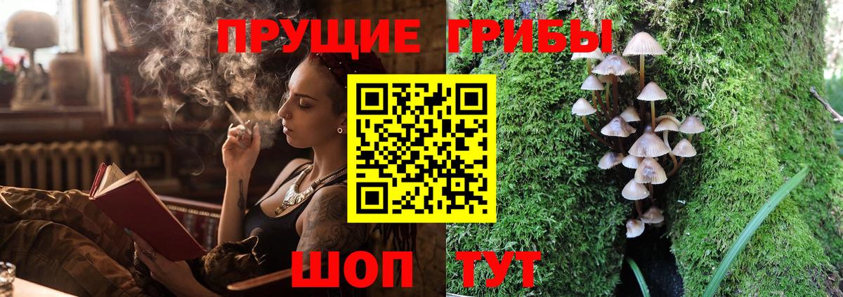 Галлюциногенные грибы MAGIC MUSHROOMS Магадан