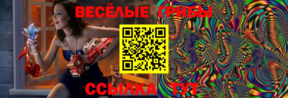 Галлюциногенные грибы GOLDEN TEACHER  Вход с VPN  Магадан 