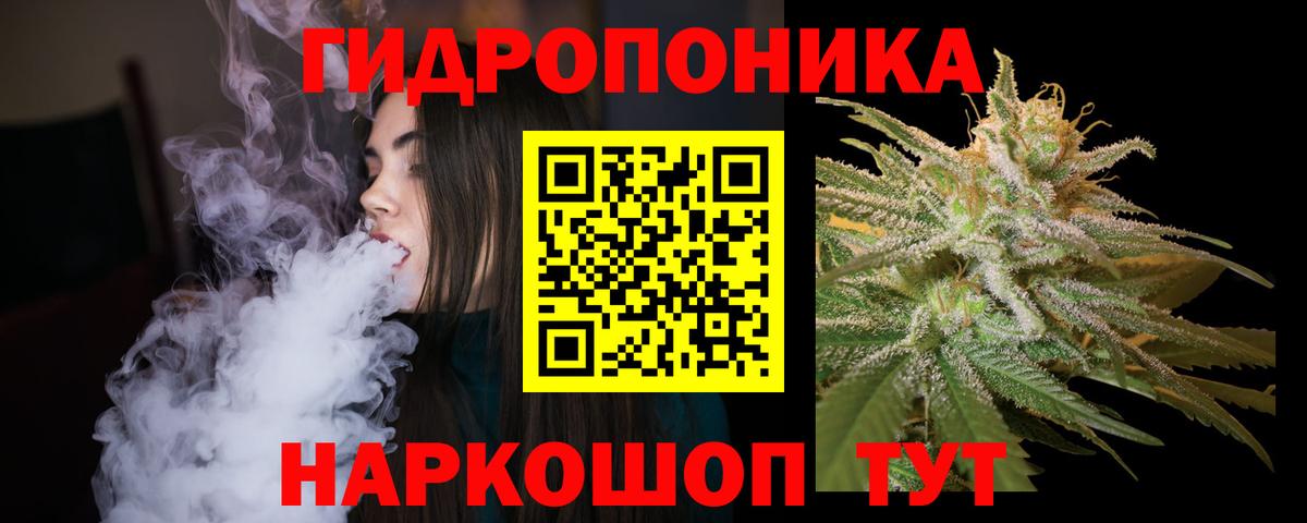 Шишки марихуана семена Магадан